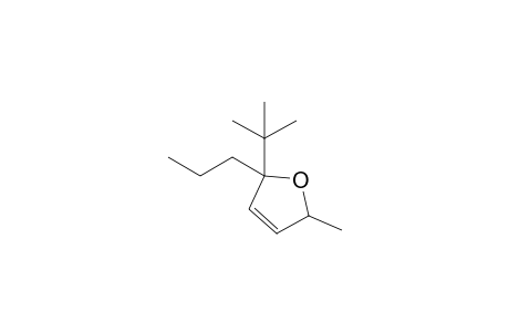 2-tert-Butyl-5-methyl-2-propyl-2,5-dihydrofuran