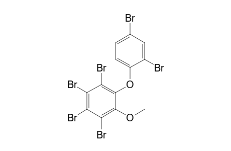 1,2,3,4-tetrabromo-5-(2,4-dibromophenoxy)-6-methoxy-benzene
