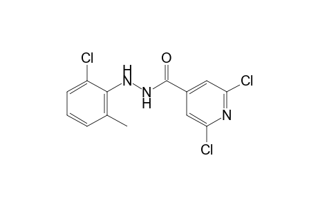 2,6-dichloroisonicotinic acid, 2-(6-chloro-o-tolyl)hydrazide