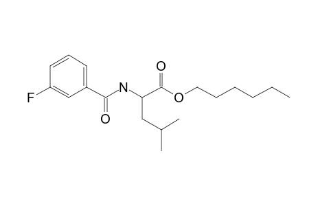 L-Leucine. N-(3-fluorobenzoyl)-, hexyl ester