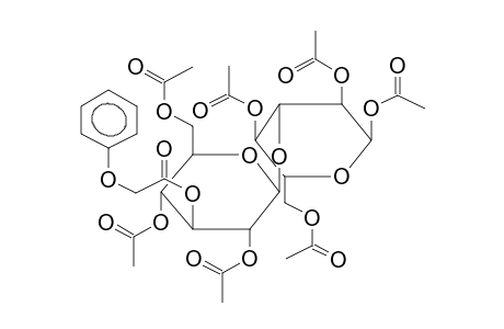 1,2,4,6-TETRA-O-ACETYL-3-O-(2,4,6-TRI-O-ACETYL-3-O-PHENOXYACETYL-BETA-D-GLUCOPYRANOSYL)-ALPHA-D-GLUCOPYRANOSE