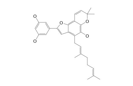 Sorocenol A