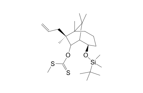 (1R*,2R*,6R*,7S*)-7-Allyl-2-(tert-butyldimethylsiloxy)-8-[[(meththio)thiocarbonyl]oxy]-6,7,9,9-tetramethylbicyclo[4.2.1]nonane