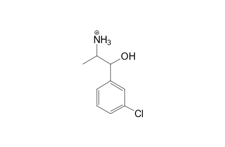 Bupropion-M (HO-alcohol) MS3_1