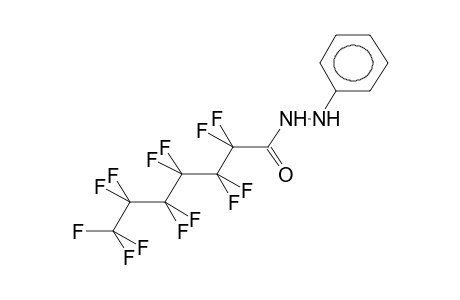 N-PERFLUOROHEPTANOYL-N'-PHENYLHYDRAZINE