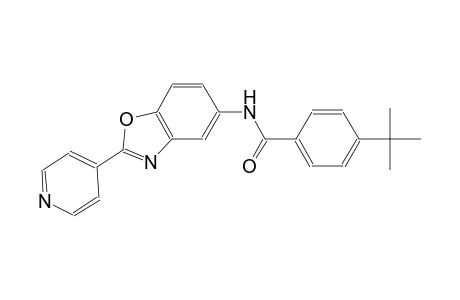 4-tert-butyl-N-[2-(4-pyridinyl)-1,3-benzoxazol-5-yl]benzamide