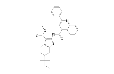 methyl 6-tert-pentyl-2-{[(2-phenyl-4-quinolinyl)carbonyl]amino}-4,5,6,7-tetrahydro-1-benzothiophene-3-carboxylate