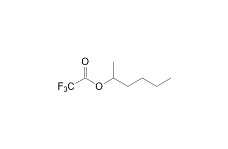 trifluoroacetic acid, 2-hexyl ester