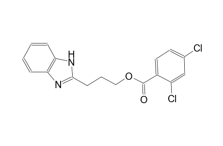 3-(1H-benzimidazol-2-yl)propyl 2,4-dichlorobenzoate
