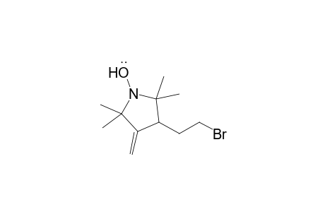3-Bromoethyl-2,2,5,5-tetramethyl-4-methylenepyrrolidin-1-yloxy radical