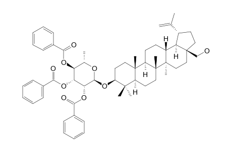 BETULIN_3-BETA-O-2,3,4-TRI-O-BENZOYL-ALPHA-L-RHAMNOPYRANOSIDE