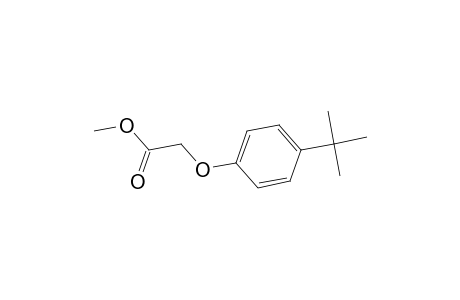 Methyl (4-tert-butylphenoxy)acetate