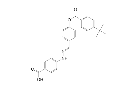 4-((2E)-2-{4-[(4-tert-butylbenzoyl)oxy]benzylidene}hydrazino)benzoic acid