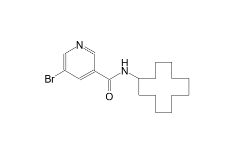 5-Bromo-N-cyclododecyl-nicotinamide