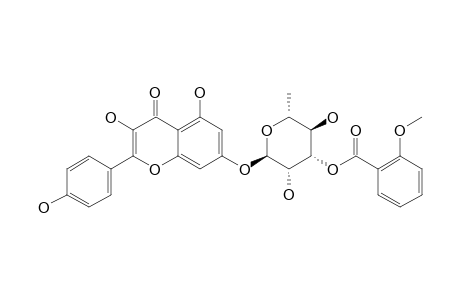 GLADIATOSIDE-C1;KAEMPFEROL-7-O-(3-O-ORTHO-ANISYL)-ALPHA-L-RHAMNOPYRANOSIDE