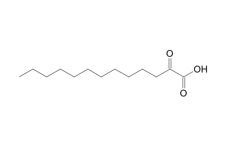 2-oxotridecanoic acid
