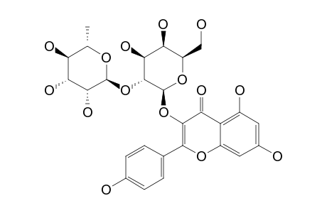 KAEMPFEROL-3-O-ALPHA-L-RHAMNOPYRANOSYL-(1->2)-BETA-D-GALACTOPYRANOSIDE