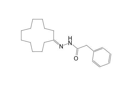N'-cyclododecylidene-2-phenylacetohydrazide