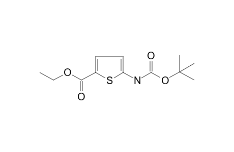 5-(tert-butoxycarbonylamino)thiophene-2-carboxylic acid ethyl ester