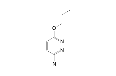 3-AMINO-6-PROPOXYPYRIDAZINE
