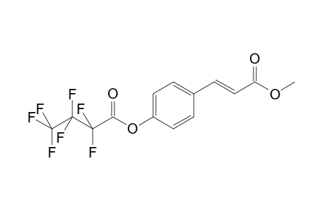 p-Coumaric acid MEHFB