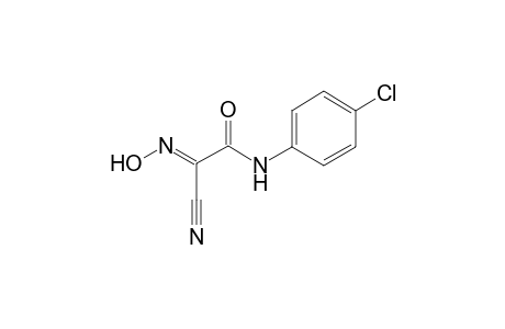 Acetamide, N-(4-chlorophenyl)-2-cyano-2-hydroxyimino-