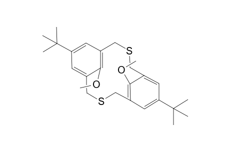 6,15-Di-tert-butyl-9,18-dimethoxy-2,11-dithia[3.3]metacyclophane