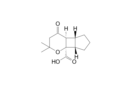 (4aS,4bR,7aS,7bR)-2,2-Dimethyl-4-oxooctahydrocyclopenta[3,4]cyclobuta[1,2-b]pyran-7b(2H)-carboxylic acid