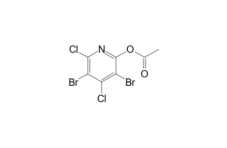 3,5-Dibromo-4,6-dichloro-2-pyridyl acetate