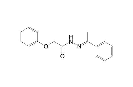 Acetic acid, phenoxy-, (1-phenylethylidene)hydrazide