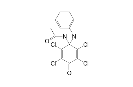 N-(1-ANILINO-2,3,5,6-TETRACHLORO-4-OXO-CYCLOHEXA-2,5-DIENYL)-ACETAMIDE