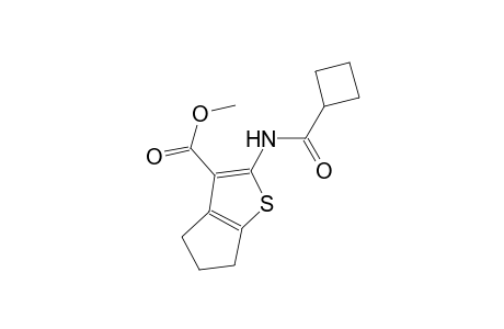 methyl 2-[(cyclobutylcarbonyl)amino]-5,6-dihydro-4H-cyclopenta[b]thiophene-3-carboxylate