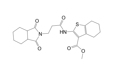 methyl 2-{[3-(1,3-dioxooctahydro-2H-isoindol-2-yl)propanoyl]amino}-4,5,6,7-tetrahydro-1-benzothiophene-3-carboxylate