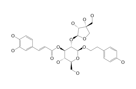 BETA-(4-HYDROXYPHENYL)-ETHYL-3-O-E-CAFFEOYL-O-[BETA-D-APIOFURANOSYL-(1->2)]-BETA-D-GLUCOPYRANOSIDE