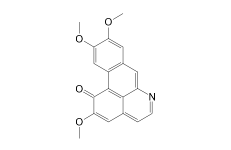 Pancoridine