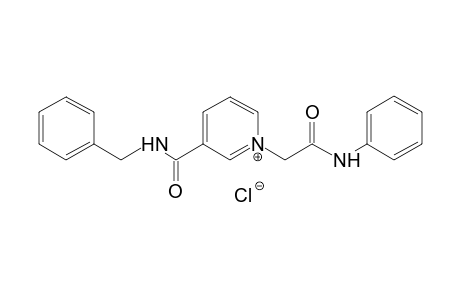 3-(benzylcarbamoyl)-1-[(phenylcarbamoyl)methyl]pyridinium chloride