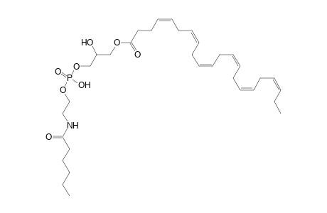 LNAPE 22:6/N-6:0