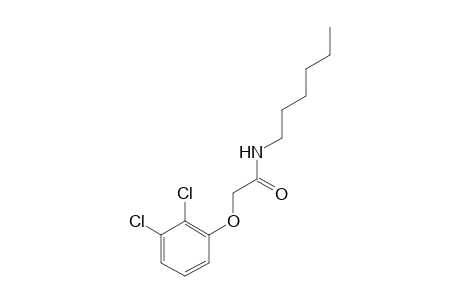 2-(2,3-Dichlorophenoxy)-N-hexylacetamide