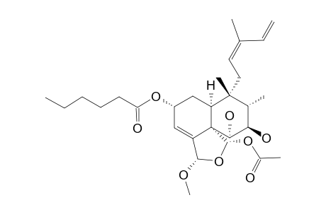 CASEARGREWIIN_K;REL-(2-R,5-S,6-R,7-R,8-S,9-S,10-S,18-S,19-S)-18-METHOXY,19-ACETOXY-18,19-EPOXY-2-HEXANOYLOXY-6,7-DIHYDROXY