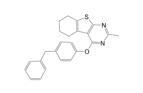 benzo[4,5]thieno[2,3-d]pyrimidine, 5,6,7,8-tetrahydro-2-methyl-4-[4-(phenylmethyl)phenoxy]-