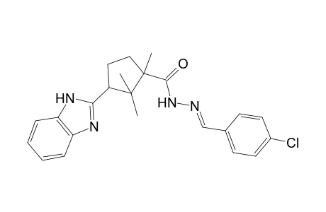 3-(1H-benzimidazol-2-yl)-N'-[(E)-(4-chlorophenyl)methylidene]-1,2,2-trimethylcyclopentanecarbohydrazide