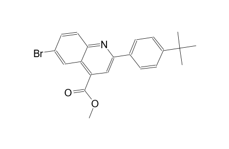 methyl 6-bromo-2-(4-tert-butylphenyl)-4-quinolinecarboxylate