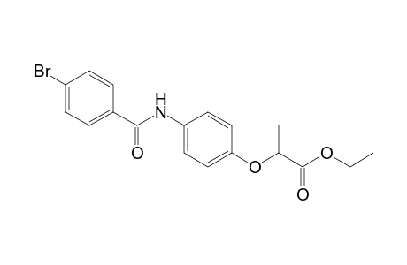 2-[4-[(4-bromobenzoyl)amino]phenoxy]propionic acid ethyl ester