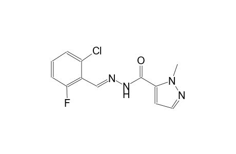 N'-[(E)-(2-chloro-6-fluorophenyl)methylidene]-1-methyl-1H-pyrazole-5-carbohydrazide