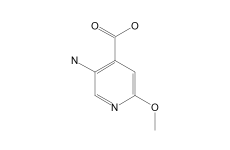 5-AMINO-2-METHOXY-PYRIDINE-4-CARBOXYLIC-ACID