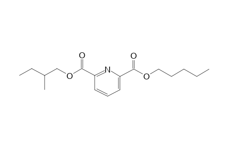 2,6-Pyridinedicarboxylic acid, 2-methylbutyl pentyl ester