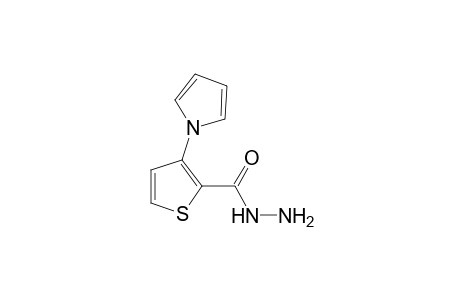 3-(pyrrol-1-yl)-2-thiophenecarboxylic acid, hydrazide