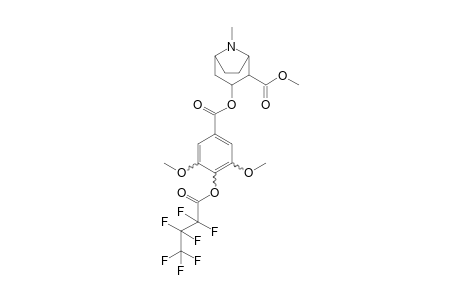 Cocaine-M (HO-di-methoxy-) HFB