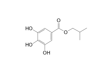 gallic acid, isobutyl ester