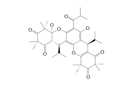 MYRTUCOMMULONE_D